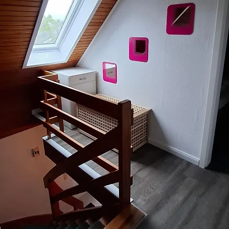 Sander Friedrichskoog-Spitze